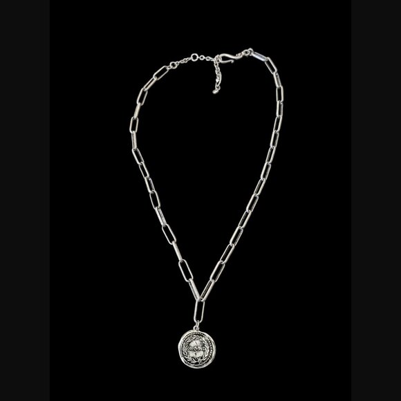 Cabi Silver Tone Antiqued Coin Paperclip Chain 25.5" Statement Necklace - Picture 5 of 6